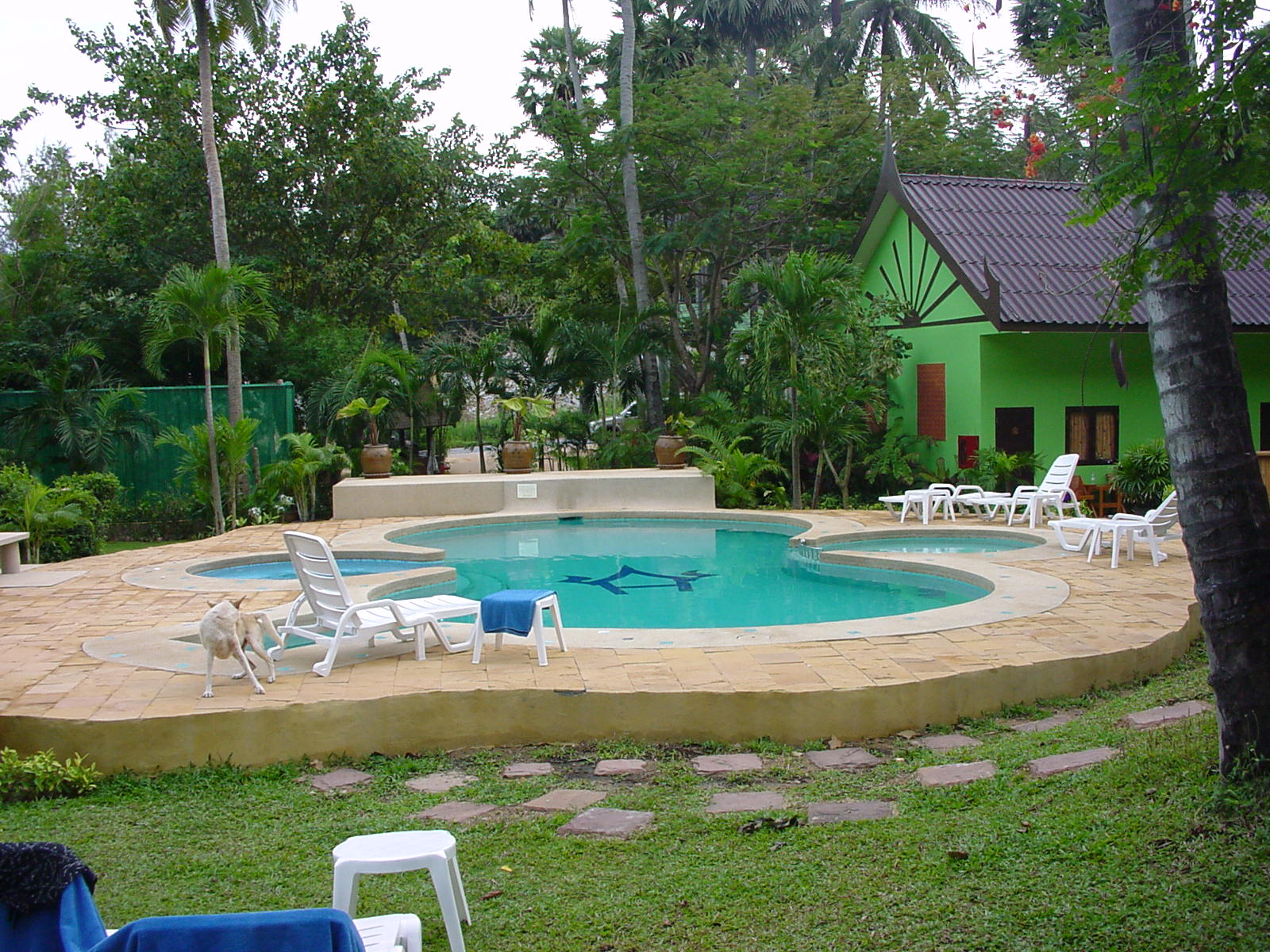 image1